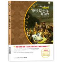 #钢铁是怎样炼成的