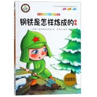 钢铁是怎样炼成的