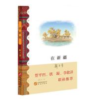 新书--在新疆