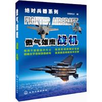 绝对兵器系列:傲气雄鹰·战机