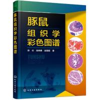 豚鼠组织学彩色图谱
