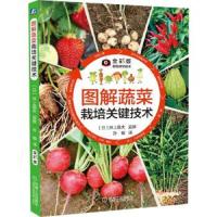 图解蔬菜栽培关键技术