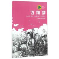 蓝风筝国际儿童文学精品书系:飞翔梦