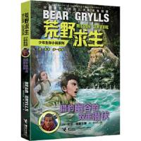荒野求生少年生存小说系列:猎豹幽谷的双重潜伏