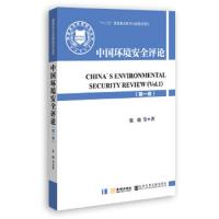 国家安全战略研究丛书:中国环境安全评论(第一卷)()