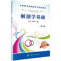 解刨学基础