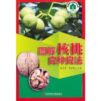 果树科学种植大讲堂：图解核桃良种良法