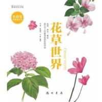 色铅笔的温柔彩绘-花草世界(用心去画画,给自己或朋友一份惊喜)