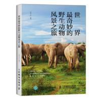 世界最奇妙的野生动物风景之旅