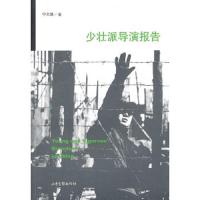 少壮派导演报告