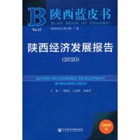 陕西经济发展报告