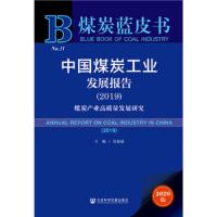 中国煤炭工业发展报告(2019)