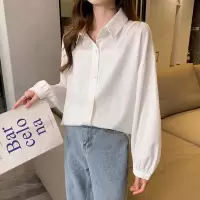 [1折价36.9元叠加优惠券]唐狮新款早春白色衬衫女长袖衬衣宽松灯笼袖设计感小众上衣女