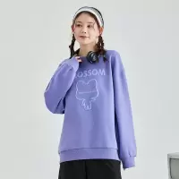 [1折价36.9元,叠加优惠券]犬系女孩唐狮春装新款圆领卫衣女小个子设计感小众上衣女潮