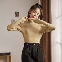 [99元2件]唐狮新款打底衫女春秋款半高领木耳边净色修身打底别致内搭