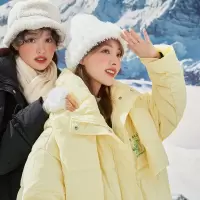 [1折价199.9元,叠加优惠券]帕丁顿熊联名唐狮冬季新款羽绒服女立领长款连帽保暖外套