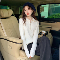 唐狮秋冬新款拉链半开襟毛衣女设计感小众翻领套头毛线衫po