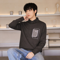 唐狮男士毛衣冬季新款假两polo领翻领商务男装百搭男毛衫潮