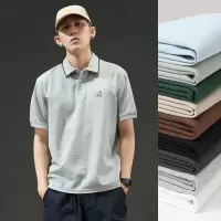 [1折价36.9元叠加优惠券]唐狮 polo衫男男式T恤POLO衫短袖POLO衫绣花短袖POLO