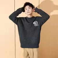 [8.5折价118.9元叠加优惠券]唐狮冬季男士毛衣新款圆领净色肌理花纱针织衫设计感上衣宽松