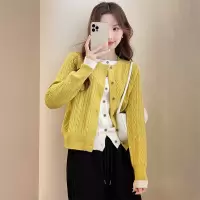 [3件8.5折118.9元,叠加优惠券]唐狮新款温柔设计感撞色假开衫女早秋chic上衣女毛衣qd