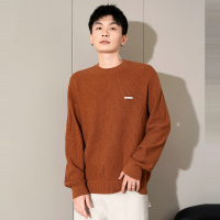 [2.5折价115元]唐狮春季新款圆领毛衣男纯色慵懒风内搭青少套头针织线衫潮