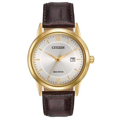 Citizen Men's AW0092-07Q 'Eco-Drive' Brown Leather Watch