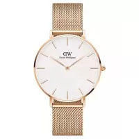 Daniel Wellington女日韩名表 系列 自动机械表 商务休闲 时尚百搭 运动防水士腕表