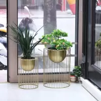 北欧落地花盆花架ins客厅走廊装饰摆设架阳台绿萝花架盆单个组合定制