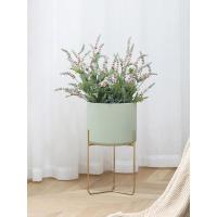 北欧落地铁艺花架客厅室内绿萝花盆架简约家居ins金属装饰花架子定制