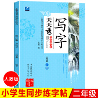 写字天天秀 2019部编版 小学生写字课课练二年级下册 人教版RJ 二年级下册字帖 人教版 小学生临摹字帖一课一练写字课