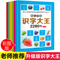 学前2280字全套6册看图识字大王学龄前3-4-5岁幼儿园儿童幼小衔接早教卡片全脑记忆大班升一年级教材宝宝认字书幼儿阅读