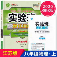 2019秋新版实验班提优训练八年级上册物理人教版RJ 初中教辅书初二同步练习册复习资料