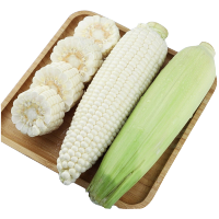[一贤生鲜]福建牛奶玉米 4斤 单根220g+ 6-8根 袋装 香甜可口 可以生吃的玉米 奥奇健 新鲜水果 蔬菜 顺丰