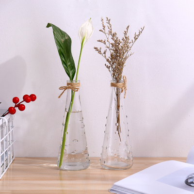 家柏饰(CORATED)插花花瓶透明玻璃器皿现代简约水栽植物容器客厅干花装饰餐桌摆件