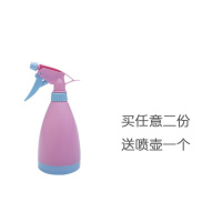 家柏饰(CORATED)捕蝇猪笼食虫食人花驱蚊捕蚊食蚊大捕虫趣味盆栽