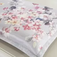 家柏饰(CORATED)夏季冰丝枕套成人可水洗凉席枕头套单人枕席套子枕芯外套一对拍2