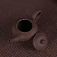 家柏饰(CORATED)全手工朱泥紫砂壶陶瓷茶具家用茶壶过滤小泡茶壶花茶壶