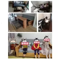森美人可折叠小户型多功能两用沙发床简约现代储物坐卧两用实木沙发床