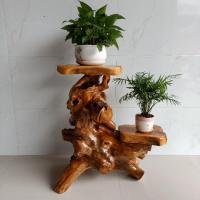 森美人树根花架原实木客厅多层绿萝盆景鱼缸底座花盆阳台落地摆件