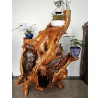 森美人实木根花架原木随形多层落地绿萝盆景鱼缸架树根底座花架客厅