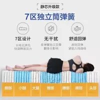 森美人床垫 筒弹簧床垫 2cm七区乳胶1.8米 静芯