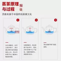 家柏饰(CORATED)玻璃蒸茶套装家用带盖过滤壶简约现代电陶炉日式煮茶电热茶炉