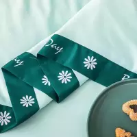 家柏饰(CORATED)夏季冰丝空调被四件套夏凉被真丝夏被可水双人夏天薄被子