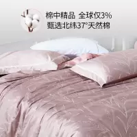 家柏饰(CORATED)家纺长绒棉100支床上四件套件床品全棉被套床单全棉床上用品