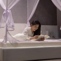 家柏饰(CORATED)支架蚊帐防摔儿童全封闭拉链式加密公主风1.5m1.8米床家用