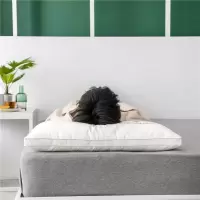 家柏饰(CORATED)全棉大豆纤维枕头单人酒店成人柔软枕芯家用整头一对拍2