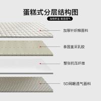 家柏饰(CORATED)乳胶床垫软垫加厚垫被租房专用单人学生宿舍榻榻米垫子褥子海绵垫