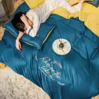 家柏饰(CORATED)款水洗真丝四件套夏季天丝床上用品春秋冰丝丝滑床单被套