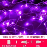 家柏饰(CORATED)新年春节过年星星灯饰卧室装饰房间布置小彩灯闪灯串灯满天星 10米普通灯-紫色(带尾插插电款)